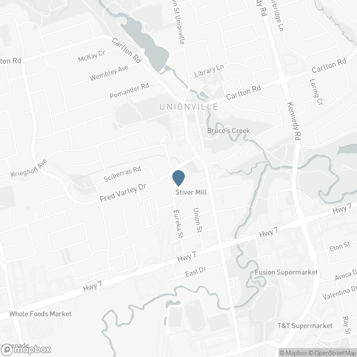 219 - 20 FRED VARLEY DRIVE, Markham, Ontario L3R 1S4
